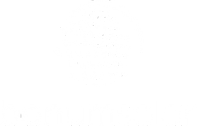 bonum solar logo